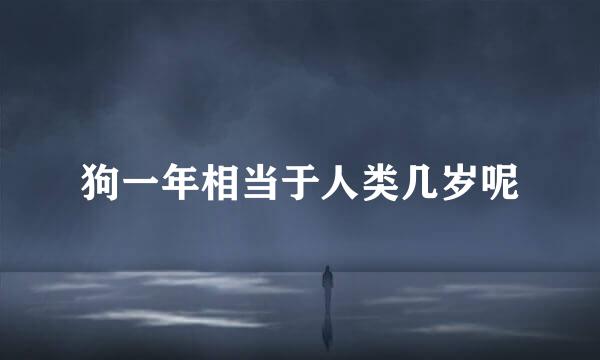 狗一年相当于人类几岁呢