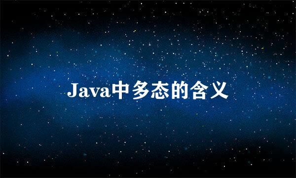 Java中多态的含义