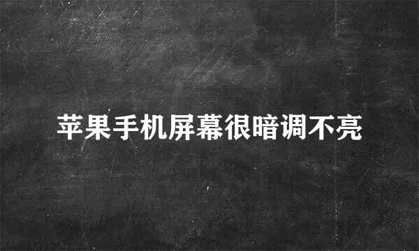 苹果手机屏幕很暗调不亮