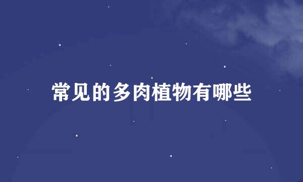常见的多肉植物有哪些