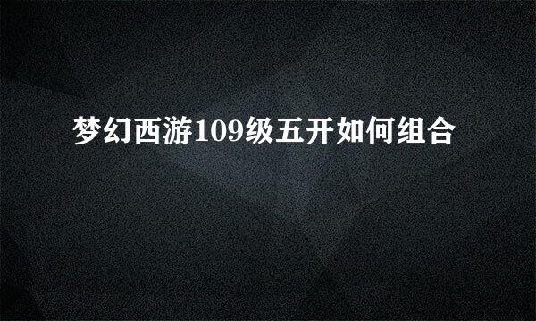 梦幻西游109级五开如何组合