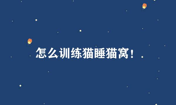 怎么训练猫睡猫窝!