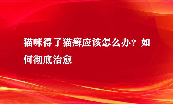 猫咪得了猫癣应该怎么办？如何彻底治愈