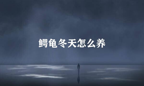 鳄龟冬天怎么养