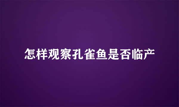怎样观察孔雀鱼是否临产