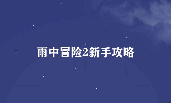 雨中冒险2新手攻略