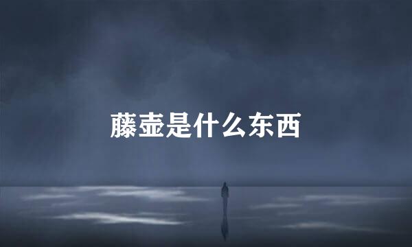 藤壶是什么东西