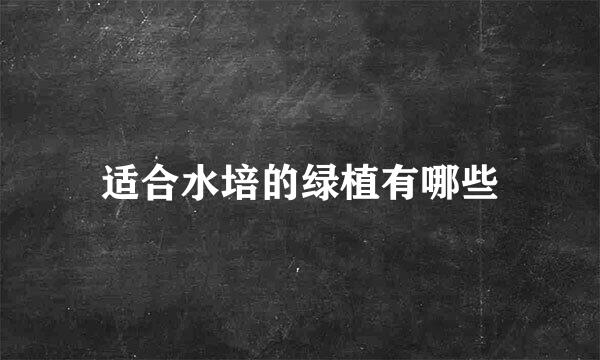 适合水培的绿植有哪些
