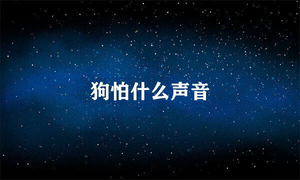 狗怕什么声音