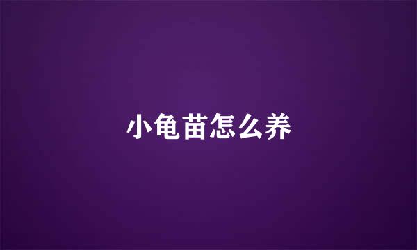 小龟苗怎么养