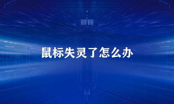 鼠标失灵了怎么办