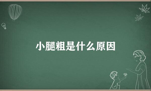 小腿粗是什么原因