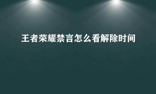 王者荣耀禁言怎么看解除时间