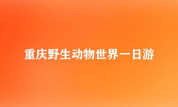 重庆野生动物世界一日游