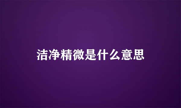 洁净精微是什么意思