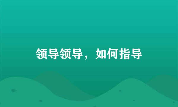领导领导，如何指导