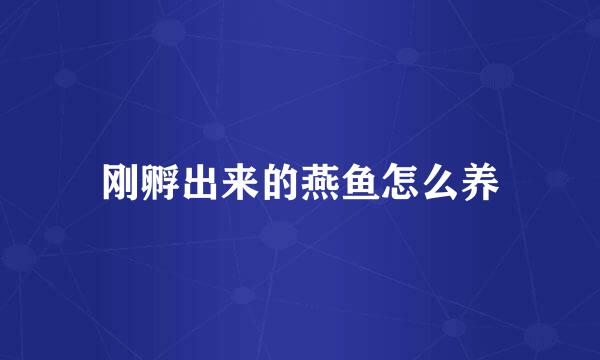 刚孵出来的燕鱼怎么养