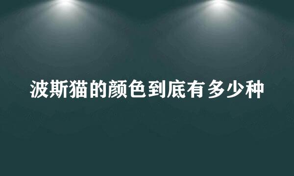 波斯猫的颜色到底有多少种
