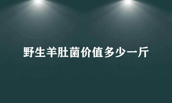 野生羊肚菌价值多少一斤