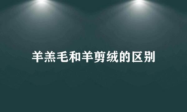 羊羔毛和羊剪绒的区别