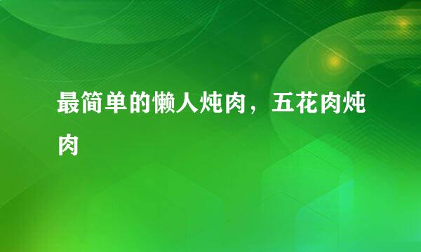最简单的懒人炖肉，五花肉炖肉