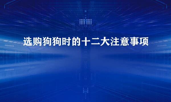 选购狗狗时的十二大注意事项
