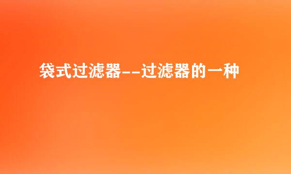 袋式过滤器--过滤器的一种