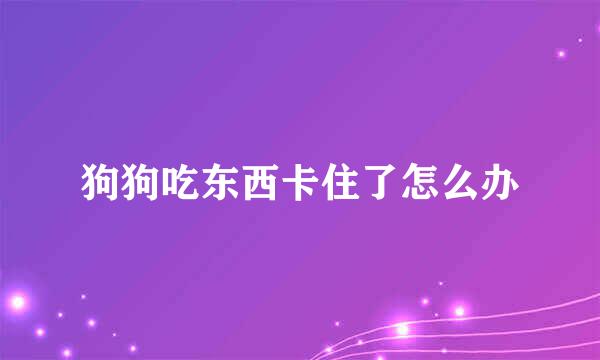 狗狗吃东西卡住了怎么办