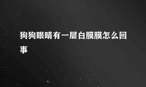 狗狗眼睛有一层白膜膜怎么回事