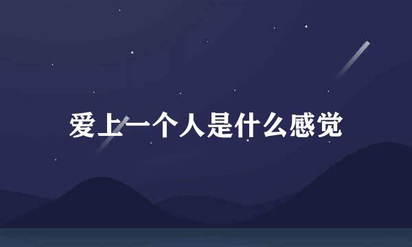 爱上一个人是什么感觉