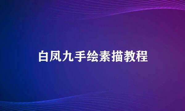 白凤九手绘素描教程