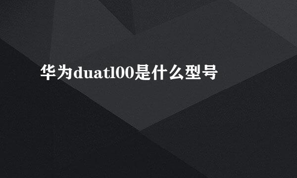 华为duatl00是什么型号