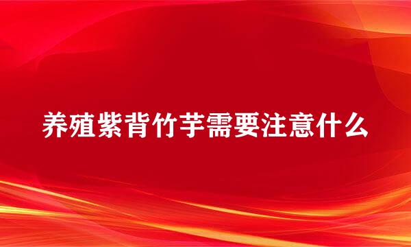 养殖紫背竹芋需要注意什么