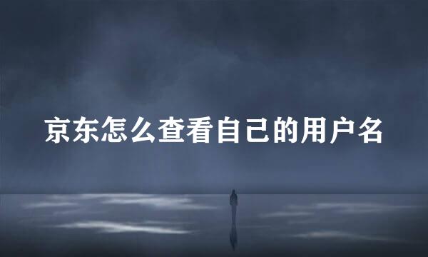 京东怎么查看自己的用户名