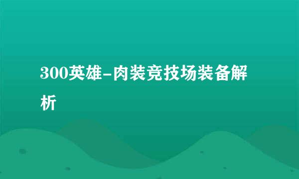 300英雄-肉装竞技场装备解析