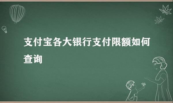 支付宝各大银行支付限额如何查询