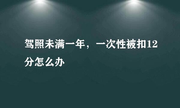 驾照未满一年，一次性被扣12分怎么办