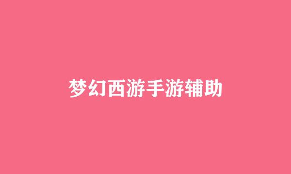 梦幻西游手游辅助