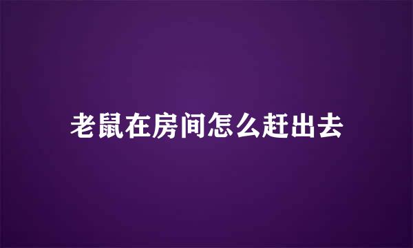 老鼠在房间怎么赶出去