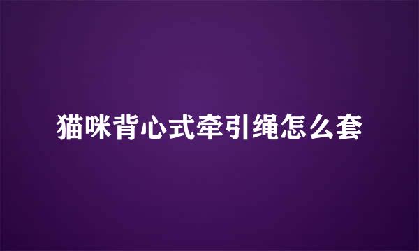猫咪背心式牵引绳怎么套
