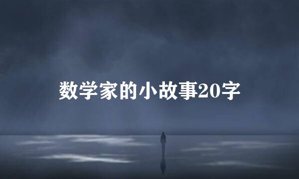 数学家的小故事20字