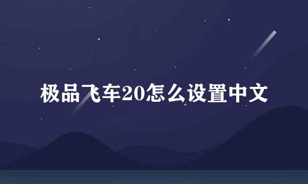 极品飞车20怎么设置中文