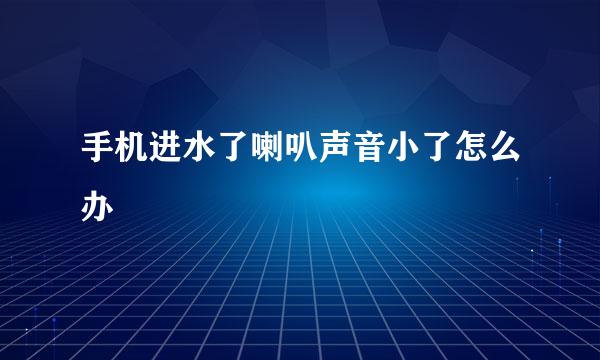 手机进水了喇叭声音小了怎么办