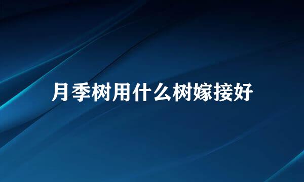 月季树用什么树嫁接好