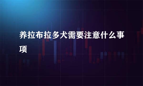 养拉布拉多犬需要注意什么事项