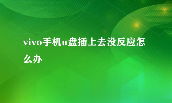 vivo手机u盘插上去没反应怎么办