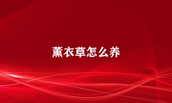 薰衣草怎么养