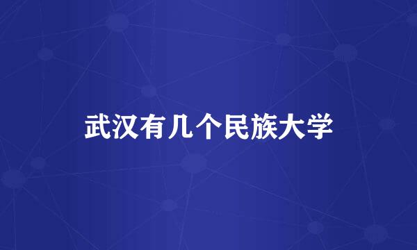武汉有几个民族大学