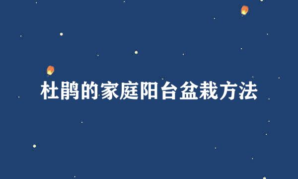 杜鹃的家庭阳台盆栽方法