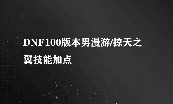 DNF100版本男漫游/掠天之翼技能加点